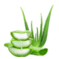 aloevera